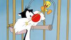 Sylvester i Tweety, 1. sezona Sylvester i Tweety, 1. sezona