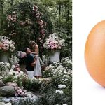Jedne od najlajkanijih objava na Instagramu