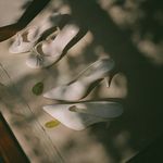 Cipele na nisku petu