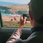 Safari