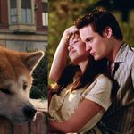 Hachi i Walk to Remember