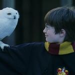 Harry Potter i Kamen mudraca