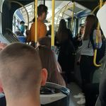 Studenti u javnom prijevozu, autobusna linija 236