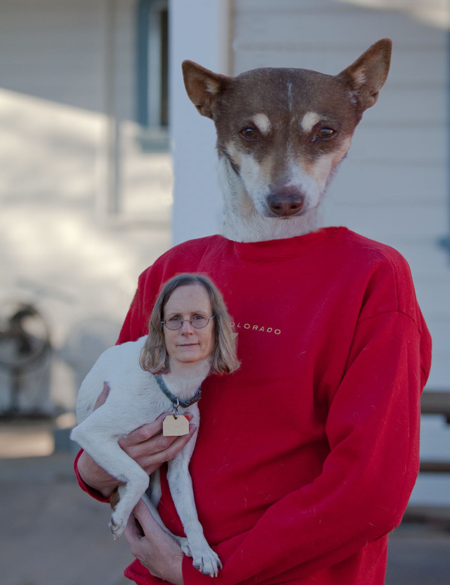 Faceswap. Собака и человек. Животные с лицом человекк.