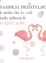 Prijateljice
