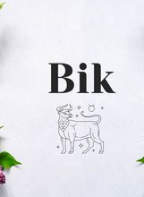 Bik