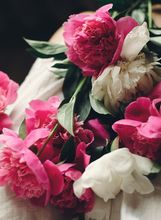 13. 4. imendan slave Ide