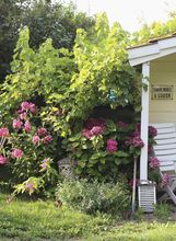Šarmantna ljetna kućica uređena u neodoljivom shabby chic stilu - 4