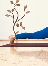 Chaturanga Dadasana