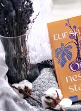 Elif Shafak: Otok nestalih stabala