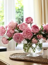 Cvijeće za svaki horoskopski znak