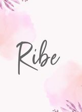 Ribe