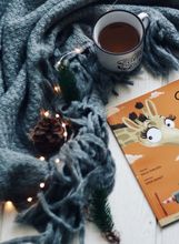 Suli u avanturi: Putovanje, Maja Šimleša, 79 kuna