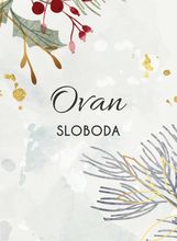 Jedna stvar koju vaš horoskopski znak želi više od ičega - 2