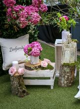 Oleander terasa hotela Esplanade Zagreb - 13