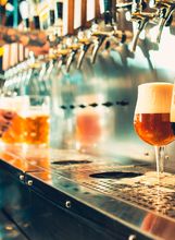 Pivo