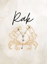 Rak