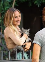 Sarah Jessica Parker i Logan Marshall Green na setu serije