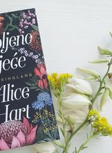 Prvijenac Holly Ringland ima terapeutski učinak
