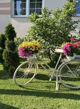 Medicinska sestra Marija Ričko ima najljepše dvorište u okolici Ludbrega - 8