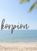 Veliki ljetni horoskop 2024. - 1