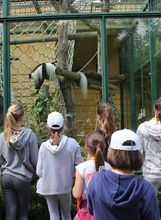 Tijekom ljetnih školskih praznika u Zoološkom vrtu Grada Zagreba održava se Divlje ljeto - 3
