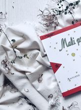 Mali princ