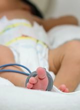 Vratimo palčiće u Petrovu