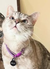 Maca Nala ima 4,5 milijuna pratitelja na Instagramu