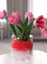Tulipani u vazi