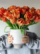 Tulipani