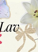 Lav