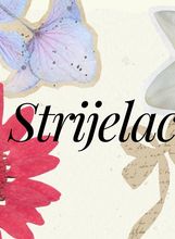 Strijelac