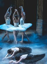 Labuđe jezero na pozornici HNK-a u Zagrebu - 4