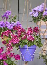 Stalak za viseće makrame košare s pelargonijama