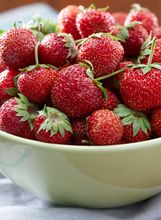 Jagode