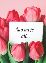 Ovako ne zvuči iskrena isprika