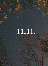11.11.