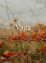 Vaga