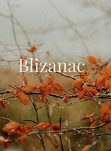 Blizanci