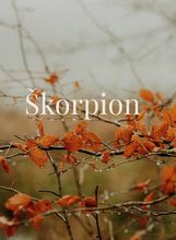 Škorpion