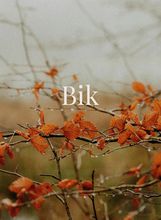 Bik