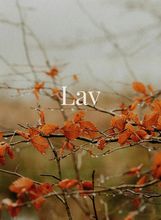 Lav