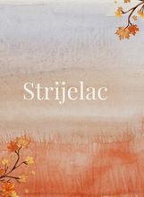 Horoskop za studeni