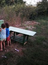 Šuma je idealan poligon za razvoj vještina