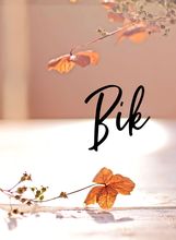 Bik