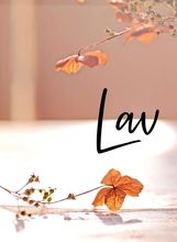 Lav