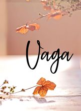 Vaga
