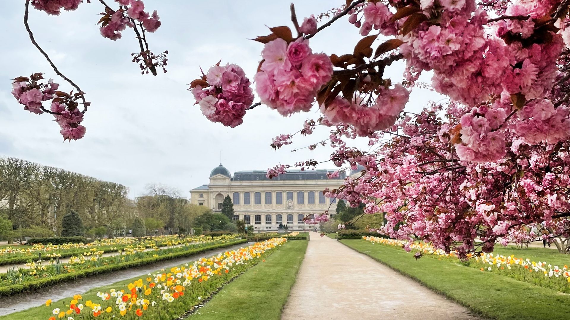 Proljeće u Parizu: Fotografije zbog kojih smo se ponovno zaljubili u ...