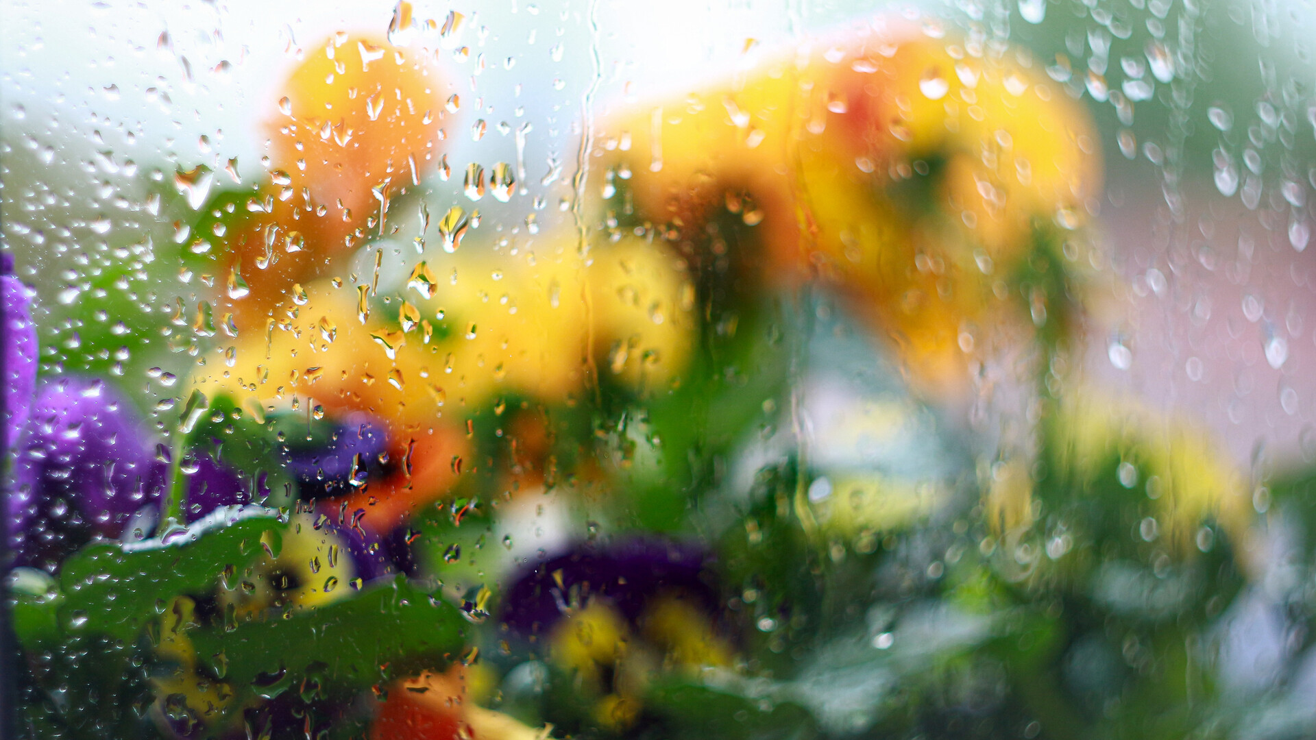 Osvježenje uz kišu i buru, a onda se vraća toplo vrijeme: Meteorolog donosi detalje